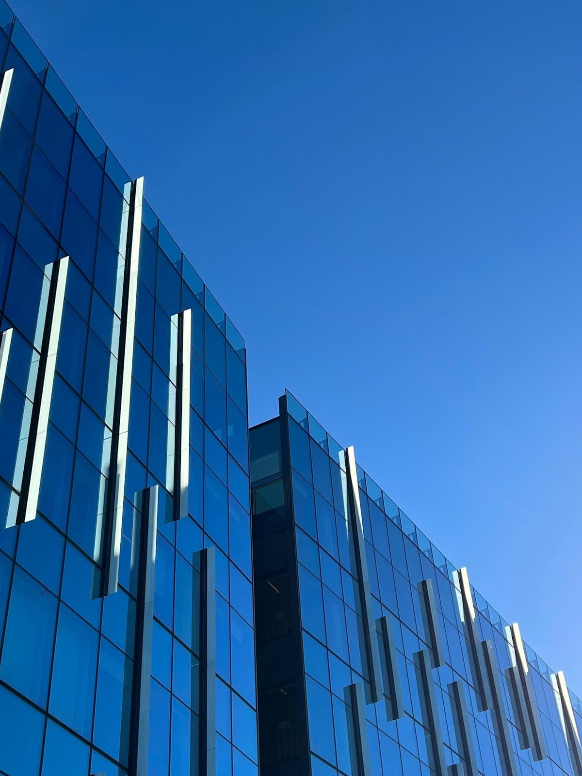 Business Blooming? Secure Commercial Insurance in Redmond Before It’s Too Late