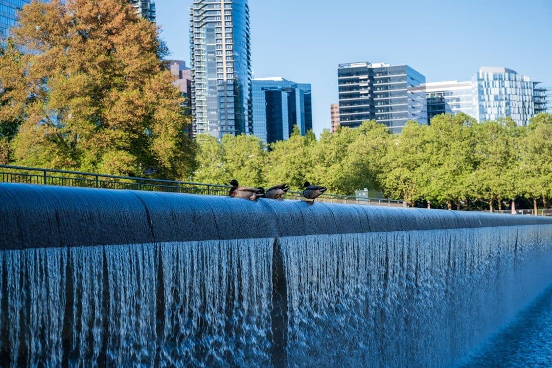 April Showers Bring…Flood Insurance! Get Covered in Bellevue