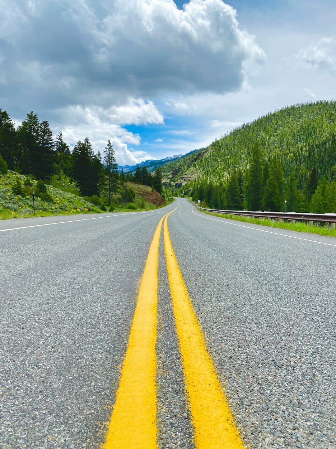 Summer Road Trips Ahead! Get the Best Auto Insurance in Redmond