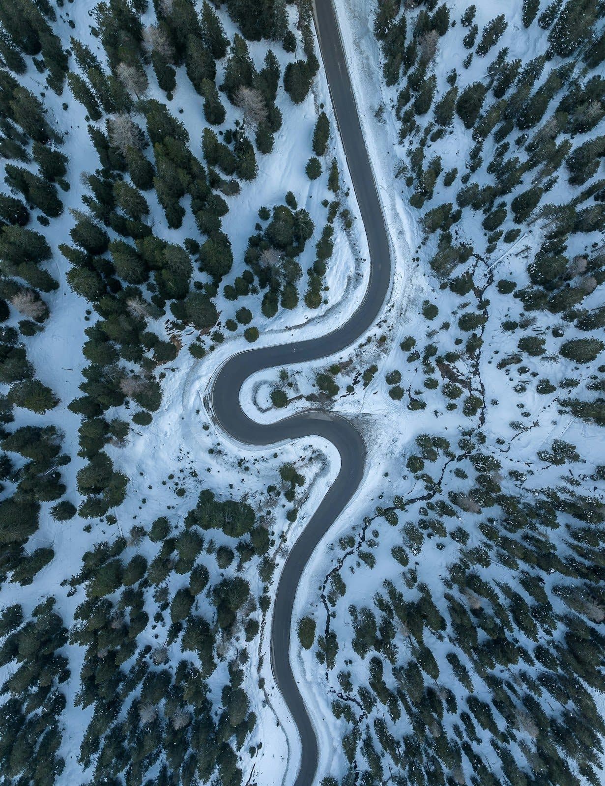 Winter Roads Ahead! Make Sure Your Auto Insurance in Kirkland Has You Covered