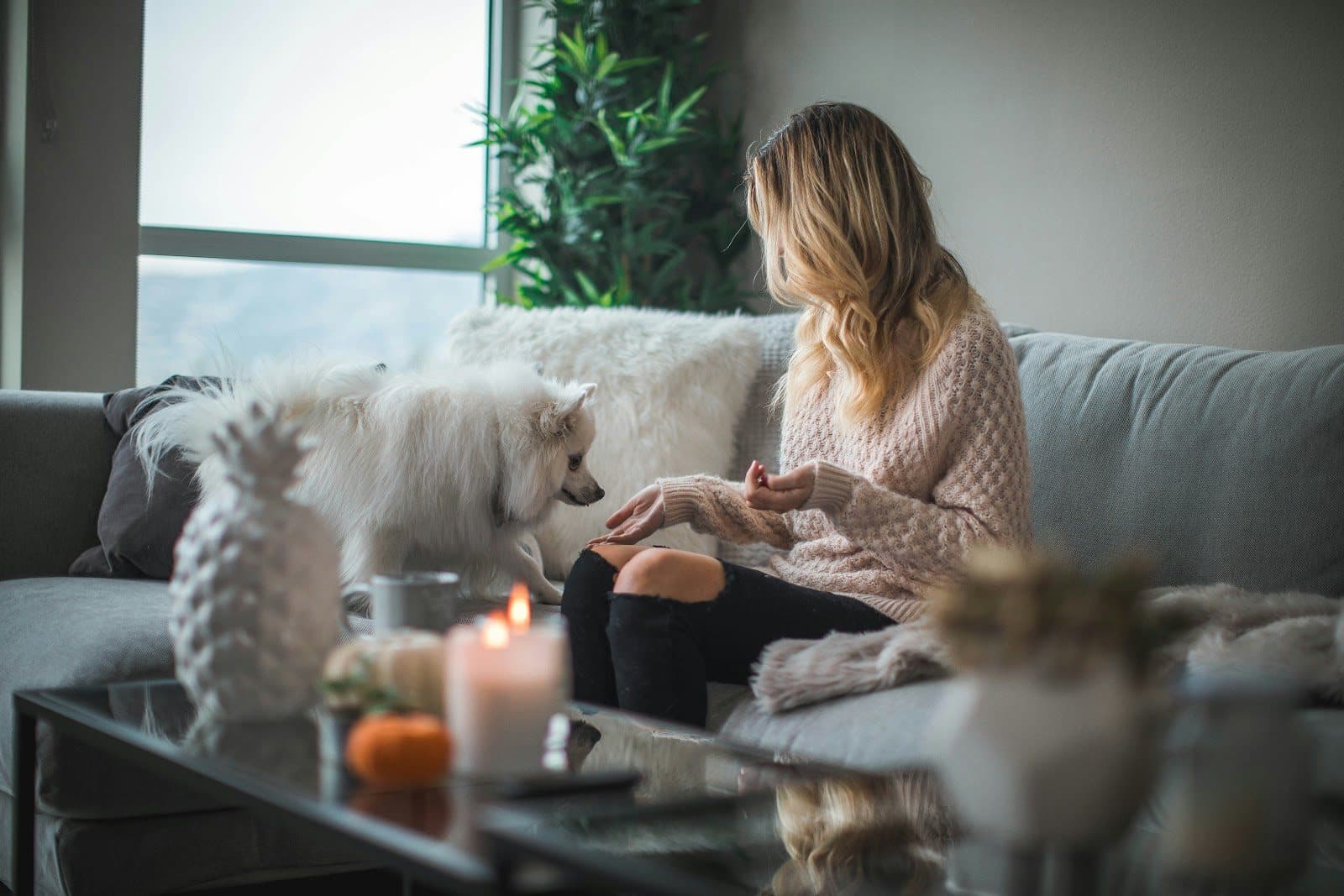 Cozy Up Without Worries: Homeowners Insurance in Bellevue for Winter Protection