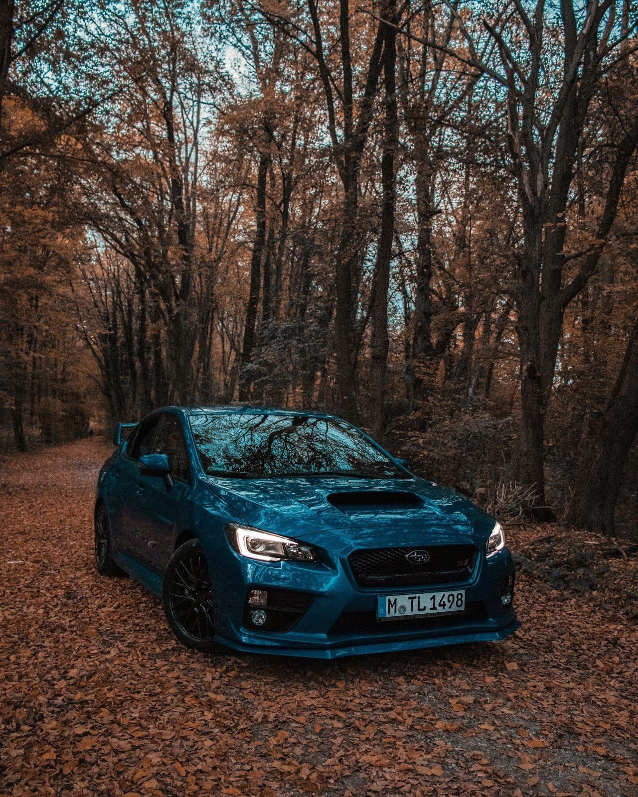 Spooky Season, Not Spooky Bills: Affordable Auto Insurance in Tacoma