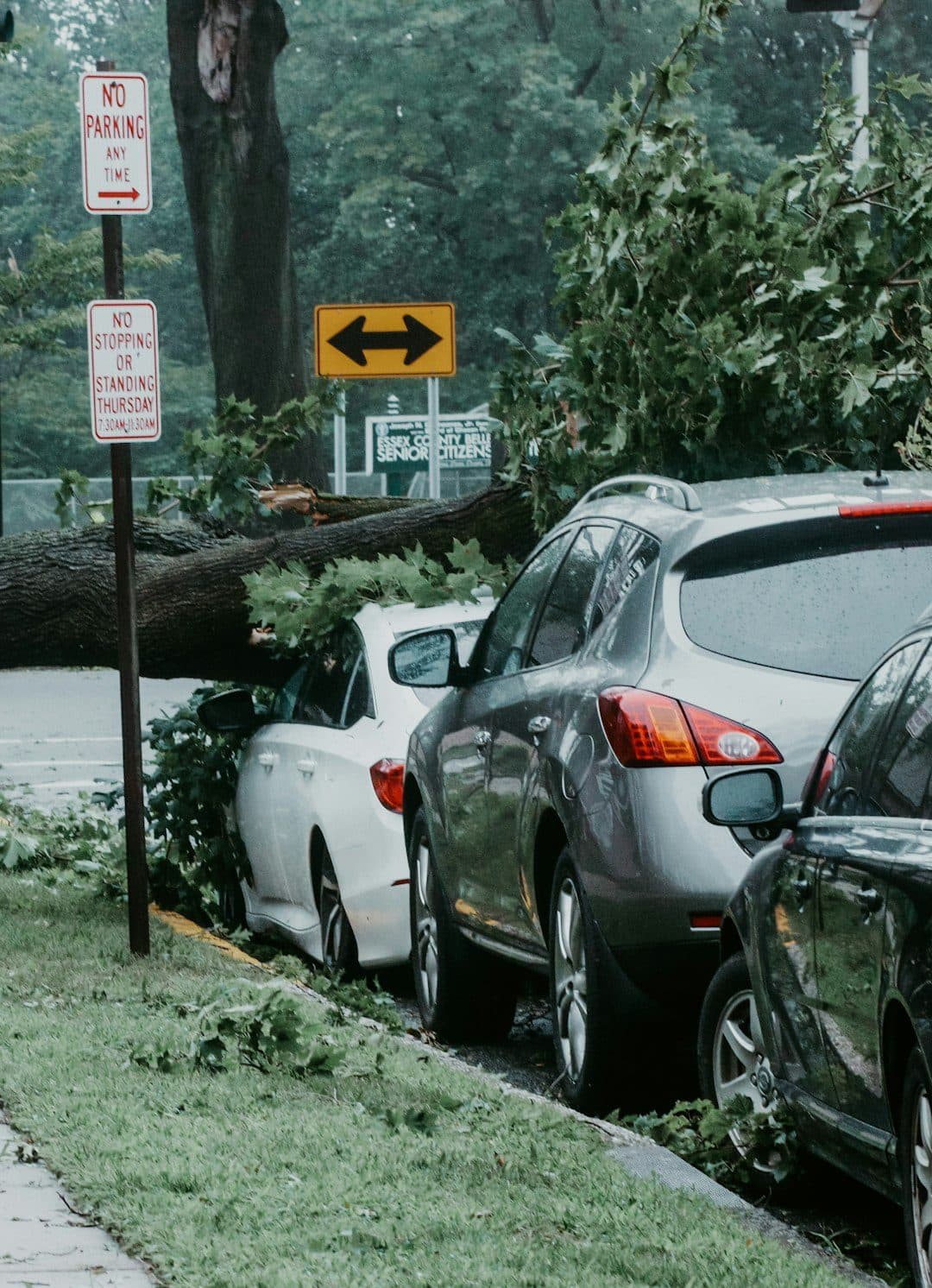 Protect Your Investment Before Spring Storms Hit: Homeowners Insurance in Redmond
