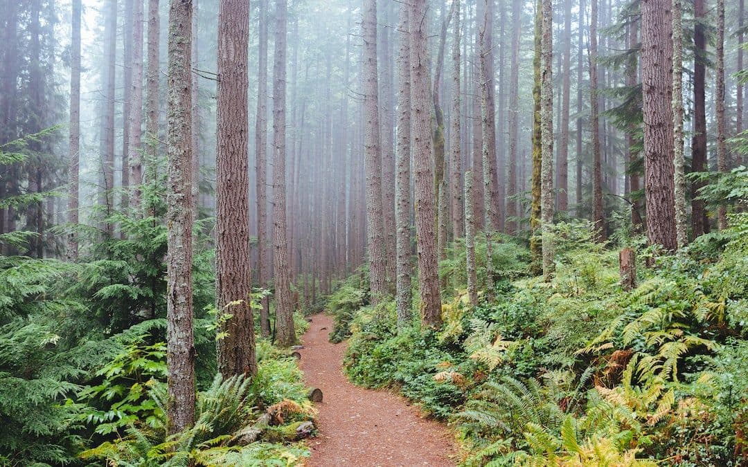 Issaquah, Washington: insurance agency serving Issaquah residents and businesses