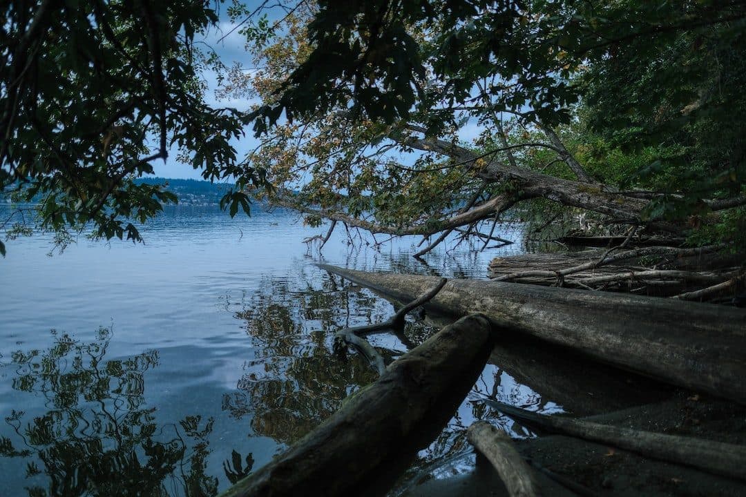 Kenmore, Washington: insurance agency serving Kenmore residents and businesses